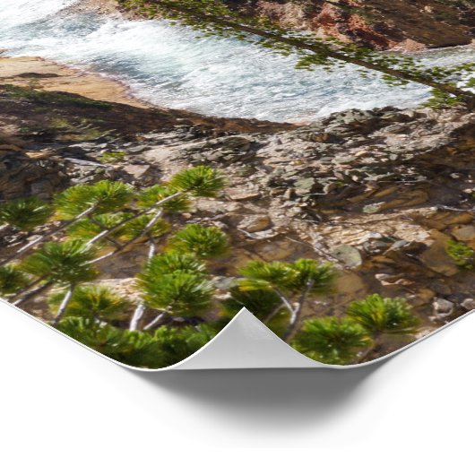 Poster Lower Falls Yellowstone (Coin)