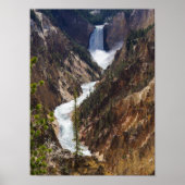 Poster Lower Falls Yellowstone (Devant)