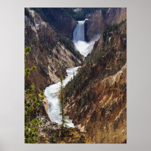 Poster Lower Falls Yellowstone (Devant)