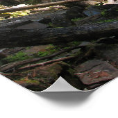 Poster Lower Johnson Falls (Coin)