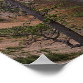 Poster Lower Yellowstone Falls, Grand Canyon de (Coin)