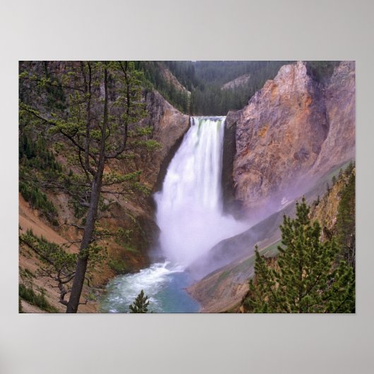 Poster Lower Yellowstone Falls, Grand Canyon de (Devant)