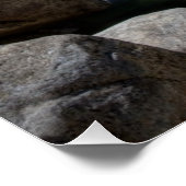 Poster Lower Yosemite Falls (Coin)