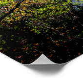 Poster Lower Yosemite Falls en cascade (Coin)