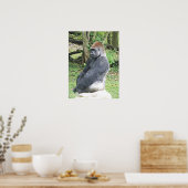 Poster Lowland Gorilla in Sitting Pose (Cuisine)