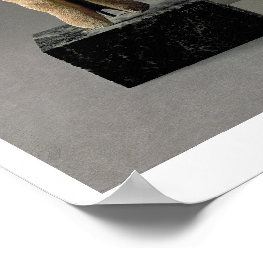 Poster (Lto R) Figurine avec bras croisés, Cycladique; tê (Coin)