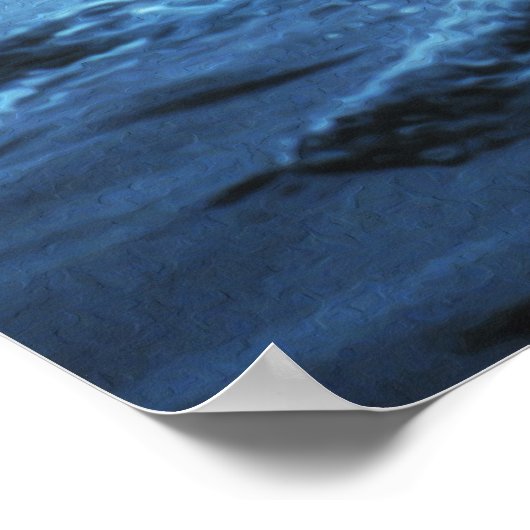 Poster Luc de baleine (Coin)