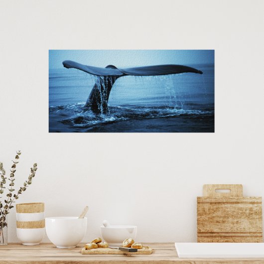 Poster Luc de baleine (Cuisine)