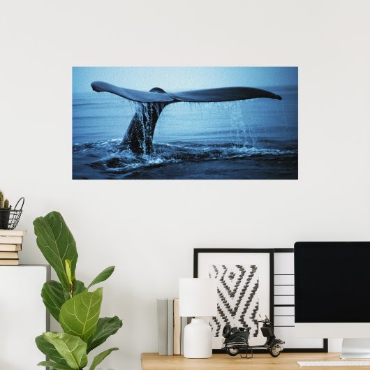 Poster Luc de baleine (Bureau à domicile)