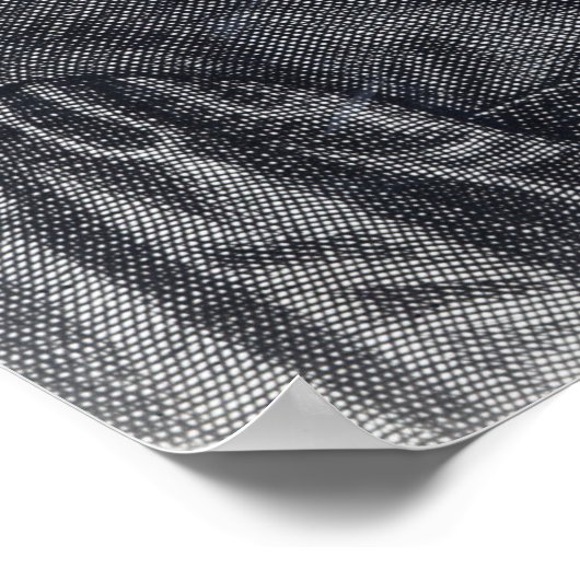 Poster Lucas van Leyden (Coin)