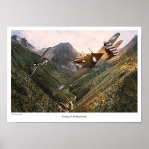 Poster luchtvaartkunst "P-40 Warhawk"