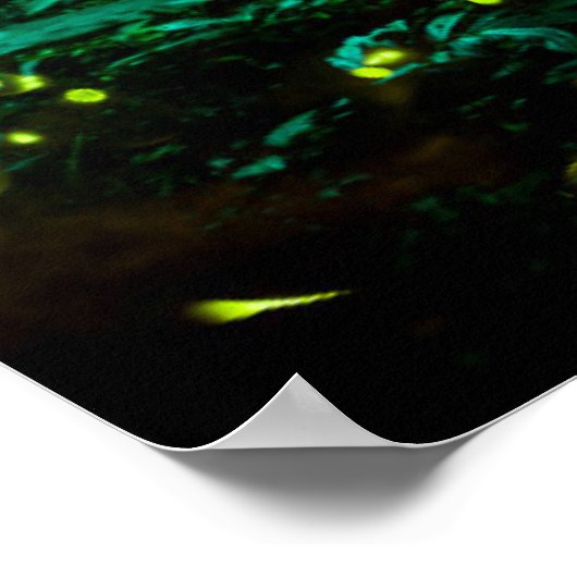 Poster Luciole (Coin)