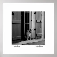 Lucky Dog par Linda Becker PhotoArt