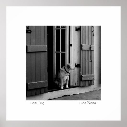 Poster Lucky Dog par Linda Becker PhotoArt (Devant)