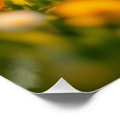 Poster Lucky Rabbit Foot (Coin)