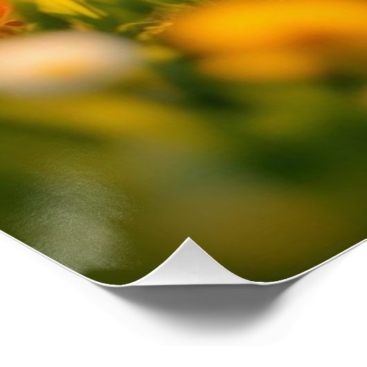 Poster Lucky Rabbit Foot (Coin)