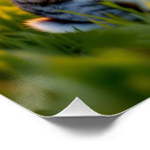 Poster Lucky Rabbit Foot (Coin)