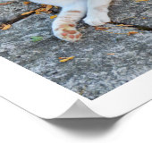 Poster Lucky réveillé (Coin)