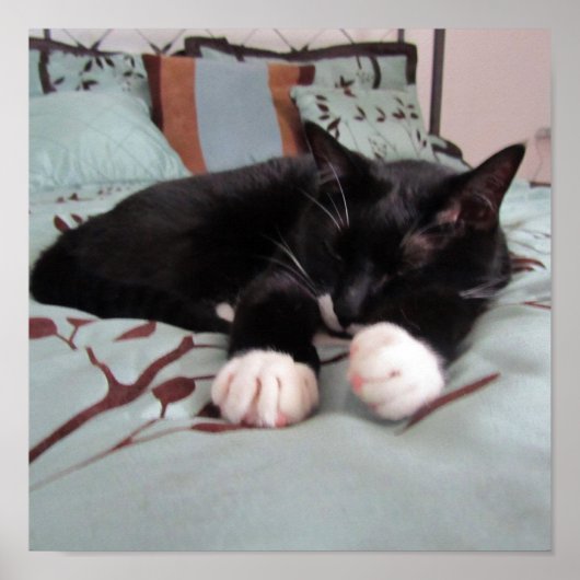 Poster Lucy endormie (Devant)