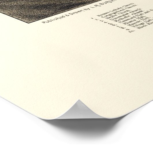 Poster Ludlow, VT Carte panoramique - 1885 (Coin)