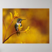 Poster Lueur d'or (Devant)