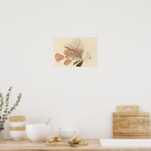 Poster Luigi Balugani - Poisson noir (Cuisine)