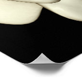 Poster Lumbar Vertebra 4 (Coin)