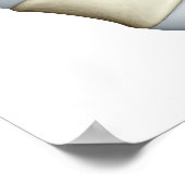 Poster Lumbar Vertebrae (Coin)