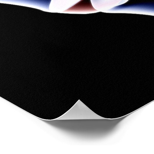 Poster Lumbar Vertebrae (Coin)