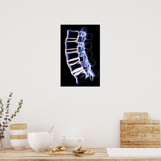 Poster Lumbar Vertebrae (Cuisine)