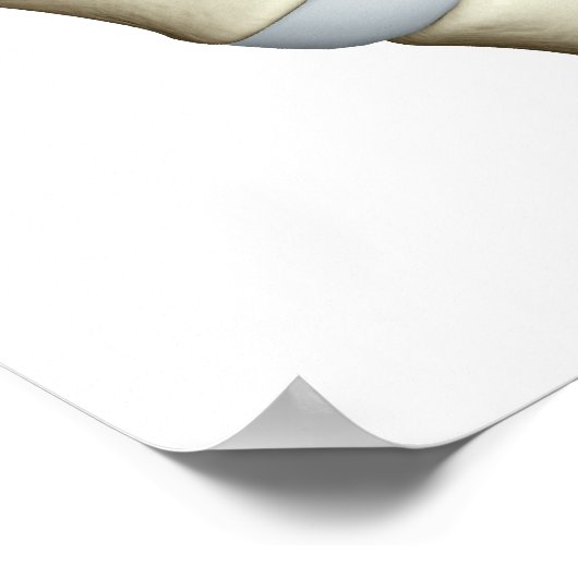 Poster Lumbar Vertebrae 2 (Coin)