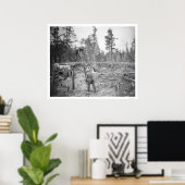 Poster Lumberjacks en Alaska 1916 (Bureau à domicile)