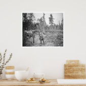 Poster Lumberjacks en Alaska 1916 (Cuisine)