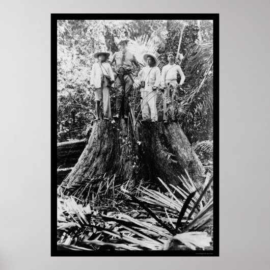 Poster Lumberjacks en Mindoro, Philippines 1906 (Devant)