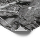 Poster LUMBERJACKS HAUT sur un REDWOOD c. 1889 (Coin)