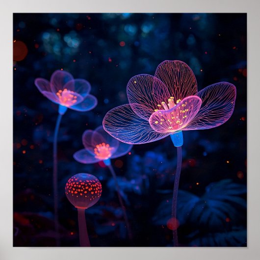 Poster Lumen Lense (Devant)