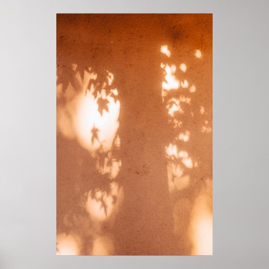 Poster Lumière (Devant)