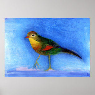 Poster Lumière 2012 de rossignol