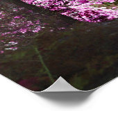 Poster Lumière À La Fin De La Nature Du Chemin (Coin)