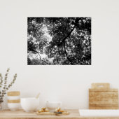 Poster Lumière à travers les arbres (Cuisine)