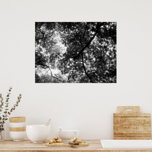 Poster Lumière à travers les arbres (Cuisine)