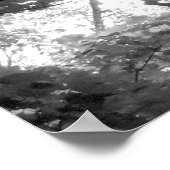 Poster Lumière à travers les arbres (Coin)