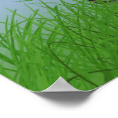 Poster Lumière arc-en-ciel (Coin)