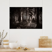 Poster Lumière brillant à travers une forêt sombre (Cuisine)
