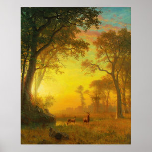 Poster Lumière dans la forêt