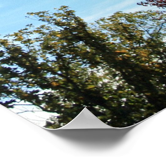 Poster "Lumière d'automne" (Coin)