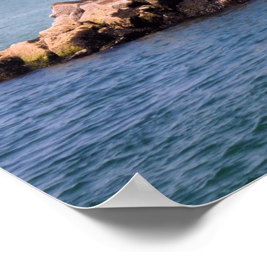 Poster Lumière de bogue (Coin)