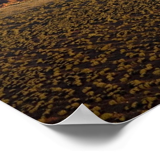 Poster Lumière de fin d'après-midi sur Uluru / Ayers Rock (Coin)