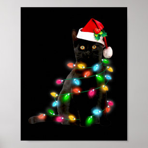 Poster Lumière de Noël de Chat Drôle de l'amateur de Chat