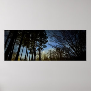 Poster Lumière de nuit,
